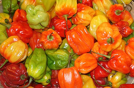  Produits Maraîchers En Vrac Pr Marchés Extérieurs - fruits et légumes entreprise ivoirienne spécialisée dans l’agrobusiness,  l’ingénierie agricole,  le négoce,  l’import-export et la vente de matériels et machines agricoles. dans le cadre de cette annonce,  recherche des partenaires importateurs de produits maraîchers en gé