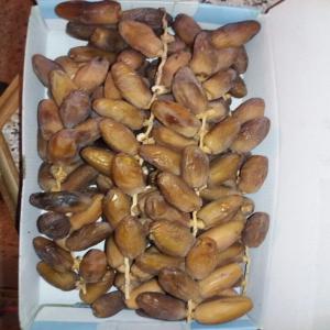  Datte (deglet Nour) - fruits secs et graines grillées nous avons une quantit&eacute; importante de dattes tunisienne plus de 500 tonnes de dattes conditionn&eacute;es  .----nous somme &agrave; votre disponibilit&eacute; de toutes autres informations. 