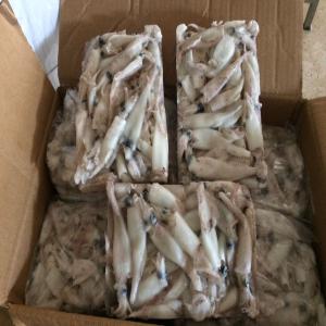  Offere De Poisson Congelé - poissons  ily 13 ton du poisson congelé 10 ton  punittilla et 3ton sipoile  pour le prix il négocier qui veut acheter et sérieux contacts moi sur mon numero