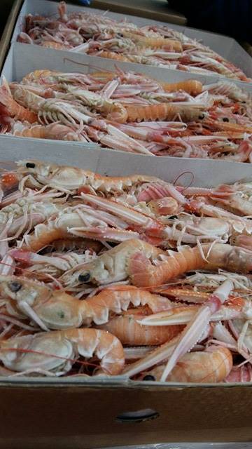  Producteur Poissons Frais Et Congélés Espagnol. - poissons nous sommes des fournisseurs de poissons frais et congelés en espagne.--nous sommes ouvert à toutes propositions de partenariat,  nous cherchons à commercialiser nos produits en afrique en asie en russie en égypte...--vous pouvez nous contacter pour plus d'informations.