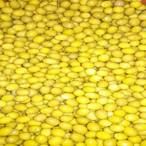  Olive Denoiyotee - fruits et légumes --nous sommes une société tunisienne agroalimentaire d import export on dispose d une quantités d'olives dénoyaute de tous les calibres--olive dénoyautée de l'egypte --calibre 180/240-1050€/ton--prix cfr 