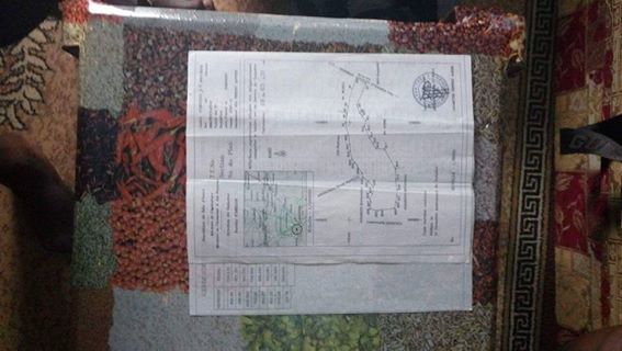  Champs Vendre - mine terrain concession plantations a vendre 36 hectares 4 hectares d'hévéa planté dans la zone de nbatto et 9 hectares de teck qui on 13 ans avec certificat foncier