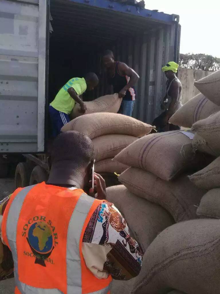  Recherche De Parténaire Pour L'achat Des Produits - café cacao thé me joindre pour specifier votre demande et discutons des conditions----conditionnement- sac de jute 60-70 - 80 kg / --- usd / tonne--- restriction -pas de restriction / fob - livraison --- conditionnement - sacs de jute,  voie maritime --- quantité -> 500 tonnes
