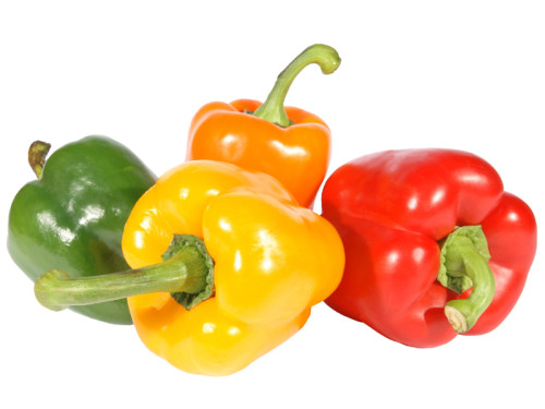  Production De Poivrons De Contre Saison - fruits et légumes nous sommes une société productrice de poivrons basée en tunisie. nous exportons déjà vers l'europe et nous sommes à la recherche d'autres clients intéressés par ce produit en afrique,  europe,  russie,  etc..--notre production est de bonne qualit