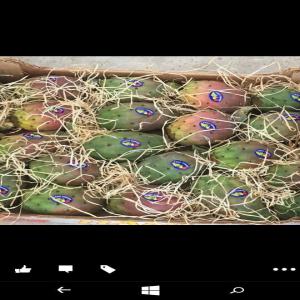  Recherche Clients - fruits et légumes nous sommes un producteurs des fruits et l&eacute;gumes tunisiennes, nous avons une soci&eacute;t&eacute; d'exportations internationales des fruits et legumes,  nous cherchons des clients, des partenaires, des march&eacute;s de nos produits.--nous avons des prix incomparables, ainsi des diff&eacute;rente