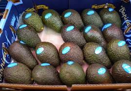  Agrégateur De Fruits Et Légumes - fruits et légumes la soci&eacute;t&eacute;  vous fournit toutes sortes de fruits et l&eacute;gumes selon calibre la qualit&eacute;.voila les sortes de fruits et l&eacute;gumes qui sons disponible pour le moment ---30 000 t de tomates--1 200 t d avocat hass--3000 t tous types d oranges--2000 t citron--        bonne r&