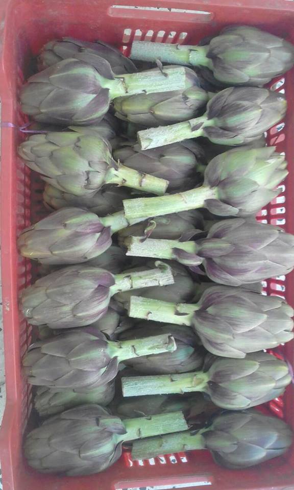  Export Fruit Et Légume - fruits et légumes  	----nous somme une société de commerce international,  on dispose d'une vingtaine des produits (légumes et fruits) destiné à l'export.--on cherche des clients sérieux.nous pouvons fournir de l'artichot, des dattes(deglet ennour), des citrons..ect