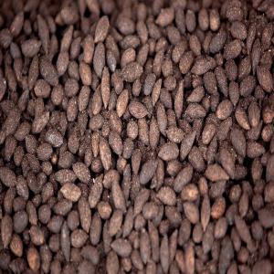  Olive Pits Morocco - energie renouvelable nous disposants de capacit&eacute; de 500 tonnes par mois.----magricole morocco   biomass productions |olive biomass,  olive pits,  ethical & biomass agriculture products morocco