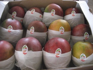  Fournisseur De Mangue - fruits et légumes bonjour je suis un fournisseur de mangue et d'acajou.je suis sénégalais je travail avec mon oncle qui fait déjà l'exportation de fruit mangue en france et espagne. je me suis inscrit sur le site afin de trouver un acheteur ou partenaire afin de trouver un terrain d'entent