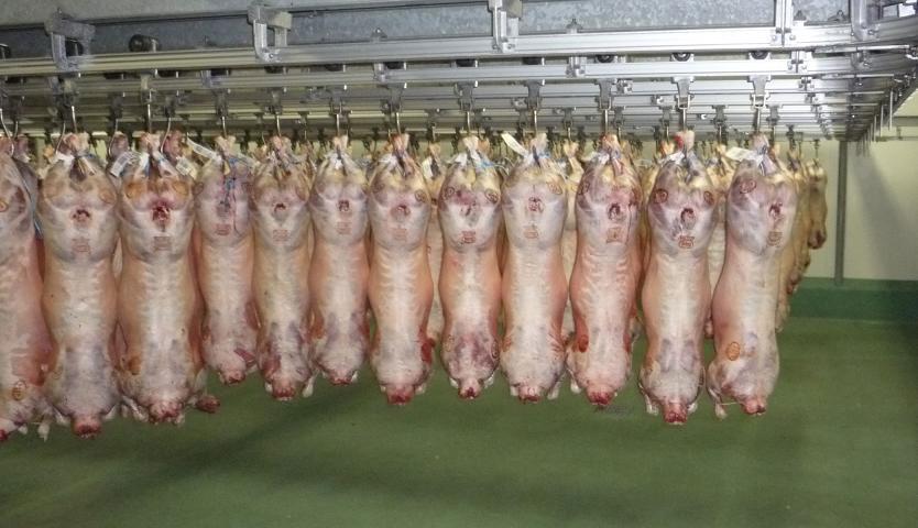  Viandes Congelées - viandes et oeufs vente de viandes congelées - prix competitifs!!!----viandes congelées - boeuf,  jb,  veau,  porc,  volaille  --conditionnement- carcasses entières,  demies,  quarts / pièces entières / pièces calibrées --vente- sous-produits / abats (masque,  pieds,  queues )