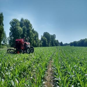  Terrain Agricole Vendre Pour Agro Industrie - mine terrain concession nous recherchons des entreprises et personnes pour la vente d'un terrain à but agricole situé dans les villes de kribi,  yaoundé et douala au cameroun contact