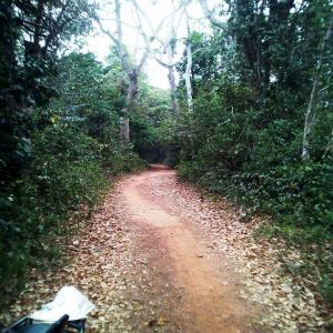  Forêt, Jachères Et Plantation D'hévéas En Vente - Industrie exploitation j'ai des parcelles en côte d'ivoire dans la région de l'iffou précisément à zanzansou et ettrokro,  zone favorable à toutes les cultures possibles. 88ha à 800m du plus grand fleuve comoé,  42ha et 69ha dont 20ha déjà plantées 