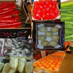  Fruits Et Legumes - fruits et légumes  ---- a casablanca maroc , vous propose une gamme agro alimentaire,  fruits,  legumes , sardines du maroc ainsi que les pattes spaguetti.----vous etes revendeurs ou clients direct nous vous proposons via nos partenaires en agro alimentations g&eacute;n&eacute;rales. ----pomme de terre --carrottes--oigno