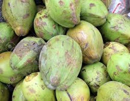  Vente De Coco - fruits et légumes bonjour, ----mise &agrave; disposition pour vente de ---noix de coco d&eacute;bourr&eacute;es--calibre a,  b c--recolte - 2015 - 2016--harvest - 2015 - 2016--qt&eacute; / qty - 2-4 tc 20  / mois--conditions - loco magasin / fob--prix - 100.000f cfa/tonnes - 165.000f cfa (fob)--150  - 250 /tonne (prix 