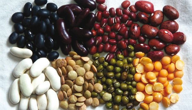  Légumes Secs - fruits et légumes nous cherchons des preneurs pour nos légumes secs - lentille,  haricot blanc,  haricot rouge,  pistache,  pois de cap,  pois de bambara de madagascar. conditionnement - sac de 50 kg. 