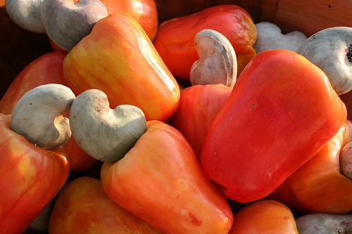  Noix De Cajou - fruits et légumes je cherche des clients qui vont acheter des noix de cajou au senegal! disponible jusqu'a 1000 tonnes!