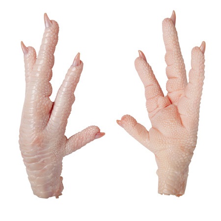Pattes de poulet ( chicken paws & feet - viandes et oeufs --bonjour,  je cherche des exportateurs de pattes de poulet (process chicken feet) en (algérie,  tunisie,  maroc) de 1 a 10 containers par mois pour l'exporter en asie.( pattes de poulet bien nettoyer peau enlever blanche pas de tâche noir pas d'os brisé bien congelé de -40 -