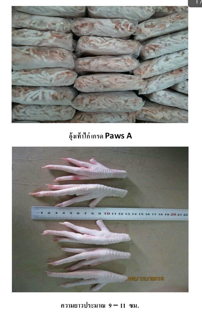 Pattes de poulet ( chicken paws & feet - viandes et oeufs --bonjour,  je cherche des exportateurs de pattes de poulet (process chicken feet) en (algérie,  tunisie,  maroc) de 1 a 10 containers par mois pour l'exporter en asie.( pattes de poulet bien nettoyer peau enlever blanche pas de tâche noir pas d'os brisé bien congelé de -40 -