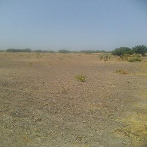  Propriété Agricole. - mine terrain concession situé dans le saloum,  dans la commune de sourou à 5 km de toubakouta et 20 km--de la gambie.--propriété agricole d'un seul tenant de 13 hectares,  composé de 4800 m2 clos --de murs,  un bâtiment de 5 pièces,  5 hangars de 17 m x 5 m de 3 puits ainsi--que 