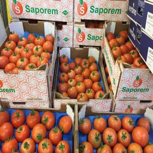  Exportation Des Tomates - fruits et légumes nous exportons des tomates de bonne qualité du calibre 2 et 3 , nous avons expédié nos tomates vers les marchés de l’angleterre, l'u.e,  les émirats arabes , le sénégal ,  nos produits sont d'une meilleure qualité , pour toute information contactez n