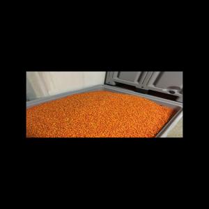  Sell Organic Iqf Frozen Seabucktorn - fruits and vegetables  three varieties,  orange energy(habego),  askola,  we have all analyses ,  brix. 