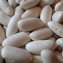  Grand Vendeur De Haricots Blancs - fruits secs et graines grillées haricot blanc en vente au cameroun et à l'étranger,  nous livrons fob douala.contact