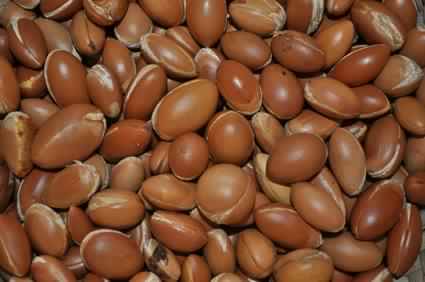  Graine D'argane - fruits secs et graines grillées nous avons l'honneur de présenter son produit graines d'argane,  dont la production est exclusivement marocaine.. notre produit est de meilleur qualité utilisé pour la production des cosmétique et médicaments.. nous pouvons fournir plus que 100 tonne à l'ann&