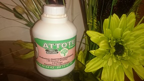  Boisson Attote - boissons non alcolisée nous sommes les importeurs agrées de attote au royaume unie. nous cherchons representants dans d'autres pays européens et en afrique.--attote est une boisson traditionelle fabriquée au nord de la cote d'ivoire. . purement a base de racines. interdit aux femmes enceintes. ------