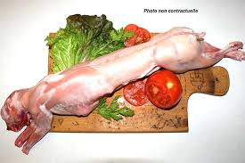  Commercialisation De Lapin Chair - animaux vivants a pour objectif de développer le secteur de la cuniculture et de valoriser la viande de lapin en vue de combler le déficit alimentaire de protéines animales en côte d ivoire.-- nous accompagnons également les structures de restauration,  les complexes hôteliers