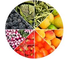  Fruits Et Légumes D'espagne - fruits et légumes société d'exportation de fruits et légumes d'espagne à destination de toute l'europe.--a pour vocation de commercialiser des fruits et légumes directement des zones de production,  pour une clientèle exigeante.--en constante évolution,  nous proposons a