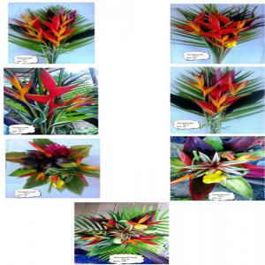  Vente De Fleurs Tropcales - horticulture plante biocarburant nous sommes une entreprise  spécialisée dans la production,  confection et exportation de fleurs de différentes qualités recherche clients pour la vente de ses belles fleurs. veuillez nous contacter.--quelques détails sur différentes bouquets de fleurs---bouq