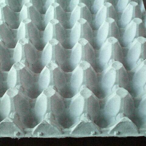  Ligne De Fabrication D'alveole En Carton - matériels machines nous sommes une soci&eacute;t&eacute; de vente d alv&eacute;ole,  et de machine de fabrication d alv&eacute;oles, des oeufs de poules et d'autres volailles 