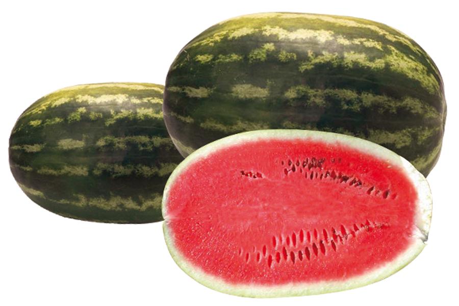  Pastèque Zagora Maroc - fruits et légumes bonjour ----nous sommes &agrave; la recherche des clients,  pour l'exportation des past&egrave;ques de la r&eacute;gion de zagora du maroc ----calibre - entre 08 et 15 kg ------nous pouvons recevoir vos visites sur terrain.------nous restons &agrave; votre enti&egrave;re disposition pour tout compl&e