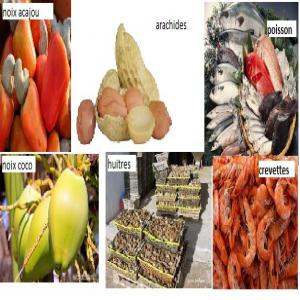 Grossite En Agroalimentaire - poissons nous sommes revendeur  des produits agroalimentaires suivants- --arachides--noix d acajous--poissons frais,  fumés,  secs--huitres--fruits et legumes- fruits du baobab, mangues,  melons ,  commecombre, --carrotes,  arricots,  tomate --moringa sous toutes ces formes--sucre en poucre icumsa 45 origine 
