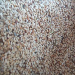  Sésame Bigarré Souflé - fruits secs et graines grillées nous disposons une quantité importante de sésame. nous cherchons des clients sérieux pouvant nous délivrer un garantie bancaire avant toute opération. les produits sont livrés au port de lomé. veuillez nous contacter. merci ! 
