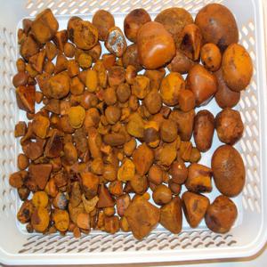  Calcul Biliaire - autres la demande est la plus élevée pour les pierres avec les caractéristiques suivantes---couleur orange doré jaune;--pierres à faible poids spécifique;--de grosses pierres;--bili teneur en rubin pas moins de 35%;--il y a une demande pour les pierres sombres et, -