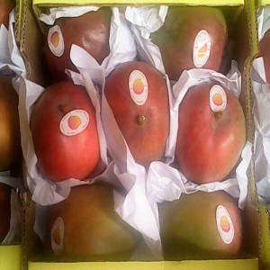 Proposition De Marche - fruits et légumes nous proposons la mangue fraîche et/ou séchée de côte d'ivoire traitée dans les meilleures conditions.--toute personne intéressée peut nous contacter au 0022548113399 ou au 0022541959503