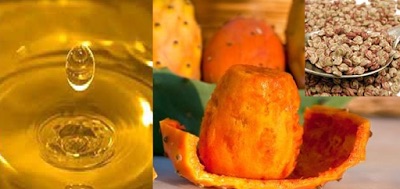 Huile Et Grain Fig De Barbarie - fruits secs et graines grillées bnjr --nous somme un société algerien spécialiste extrait les graines de figues en plus converti en huile pure par pression à froid