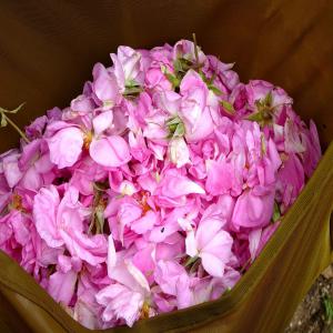  L’eau De Rose 100% Bio - matiere vegetale nous sommes une entreprise marocaine exportatrice de l’eau de rose  d'origine vallée des rose kalaa mgouna (maroc) 100% bio,  nous exportons en vrac ou conditionné en bouteille,  notre produit est certifié ecocert et onssa,  de très bonne qualité,  sans  additifs et av