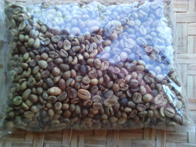  Green Coffee Bean - coffee cocoa tea --madagascar green  coffee bean --moisture content - 14 % max --screen size- 16 18 mesh --packing -  60 kg jute bag--loading  port - tamatave; vohemar  port  madagascar