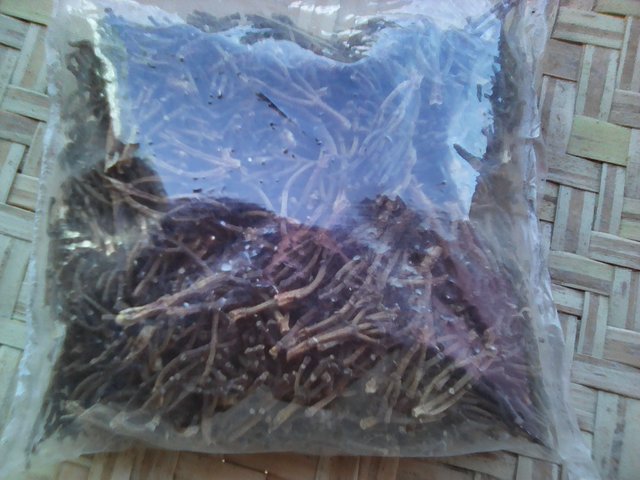  Clove Stems - aromatic spices clove stems ----packaging  details-60 kg per bag ----port of loading- tamatave port  madagascar--contact details -mr ziz--harvested 2016 2017----
