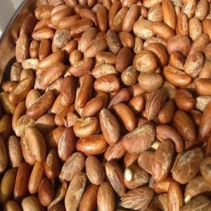  Noix De Kola Amère - fruits secs et graines grillées je suis exportateur de noix de kola amère basée ici en afrique de l’ouest. je suis en mesure de fournir une grande quantité et très bonne qualité sur demande de l’acheteur. je cherche des acheteurs sérieux pour un partenariat à long terme.----noix,  fr