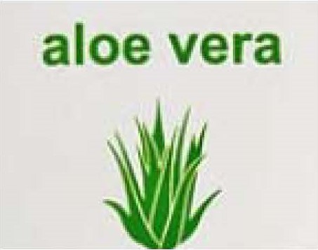 Produits Aloe Vera des îles Canaries (Espagne)  - autres société française importatrice spécialisée dans la vente de produits nobles à base d'aloe vera de grande qualité,  nous proposons aux distributeurs une large gamme de produits à base d'aloe vera issu de l'agriculture écologique des î