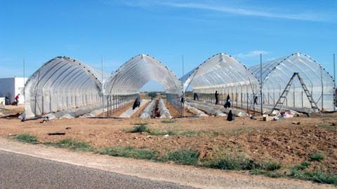  Multi-chapelle - matériels machines multi-chapelle -  prix carcasse seulement sans frais de transport en  occasion --              *2500 m2  ====================     15000.00€--              *  5000 m2 ====================    28000.00€ --              * 10000 m2 ===================     50000.00€