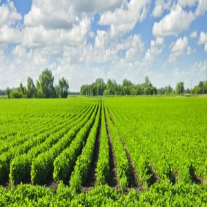  Terre D'engrais Bio - chimie additif engrais engrais bio,  c'est un ensemble de granulats form&eacute;s de fines plaquettes d aluminosilicates anamorphiques de couleur fonc&eacute;e,  dot&eacute;es de propri&eacute;t&eacute;s physico-chimiques exceptionnelles dues a des microstructures alv&eacute;olaires ouvertes qui entra&icirc;ne &agrave; la f