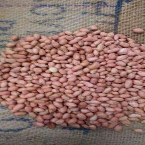  Vente Et Achats D'épices, Noix Seches... - roasted seeds and nuts nous cédons 100 tonnes de cacahuètes bio d'origine sénégal de très bonne qualité en sac de 50 kg vers toute destination.--prix a débattre,  non sérieux s'abstenir