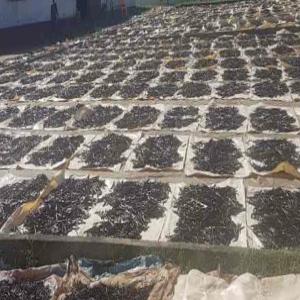  Vanille De Bourbon De Madagascar - épices aromates nous recherchons des importateurs de vanille de bourbon de madagascar- bio,  fair trade,  conventionnelle