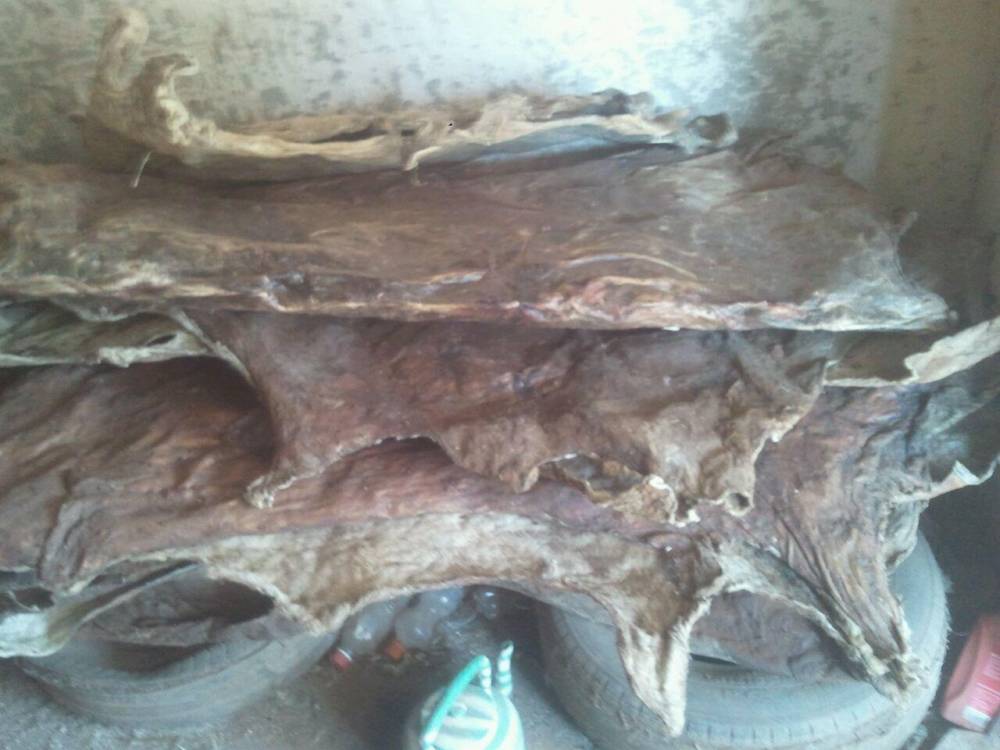  Vente Des Peaux D'ânes Et Vaches - animaux vivants nous sommes une entreprise d'importation et d'exportation de tous les produits tropicaux .----nous faisons aussi la collecte et la vente des peaux d'&acirc;nes et vaches a la demande .--possibilite de collecte 6000 peaux / semaines .meilleure qualit&eacute; en afrique de l'ouest nous sommes des four