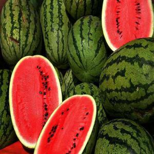  Fruits Tunisiens, Haute Qualité,goût Réel Extra - fruits et légumes --nous sommes un groupe d'agriculteurs de la tunisie,  et nous avons maintenant les fruits frais suivantes----pastèque- ~ 500 tonnes (début 01/05 fin 30/08) 0.50 €  / kg---tomate séchée- ~100 tonnes (début 01/06 fin 30/08)   3 € /kg----nous avons un point de collect