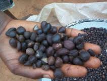  Recherche De Producteur D'amande Palmiste - fruits secs et graines grillées bonjour ! --besoin de toute urgence un producteur ou fournisseur d'amandes palmistes.--si vous avez un stock disponible pour la vente,  n'h&eacute;sitez pas de nous contacter ! ----cordialement !